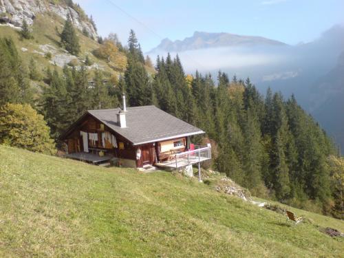 Дизайн маленького участка с уклоном. Укрепление почвы