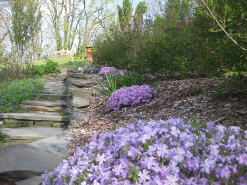 Дизайн маленького участка с уклоном. Укрепление почвы