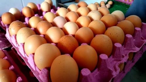 Лайфхаки из коробок для яиц. Лайфхак! Не выкидывайте яичные коробки