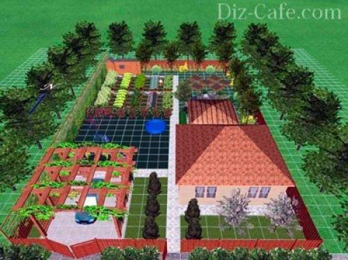 Какие деревья и кустарники посадить на участке. Какие деревья посадить 10