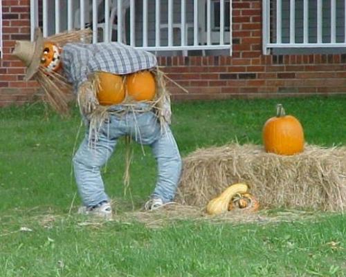 Что то интересное своими руками для дома. Что можно сделать в домашних условиях своими руками? 10