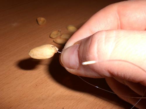 Дерево из фисташек.