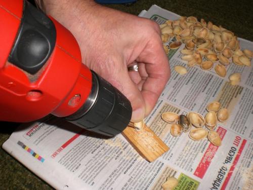 Дерево из фисташек.