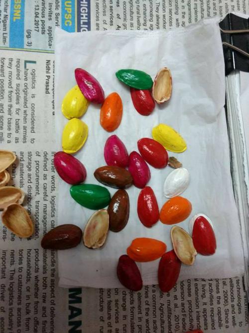 Скорлупа фисташек применение. Декор для дома своими руками