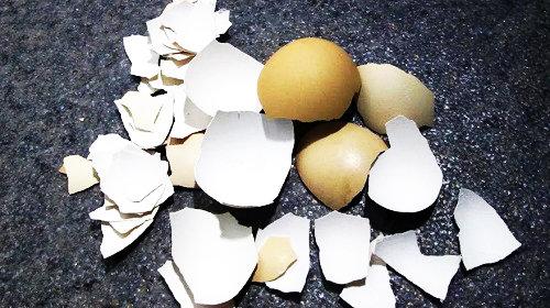 Скорлупа от фисташек в огороде. Как на огороде осенью эффективно применить яичную скорлупу.