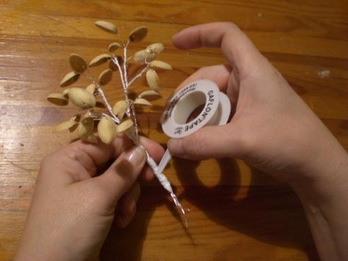 Дерево из фисташек.