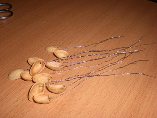 Дерево из фисташек.