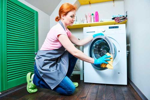 Как избавиться от запаха плесени. Устраняем запах плесени: работающие методы