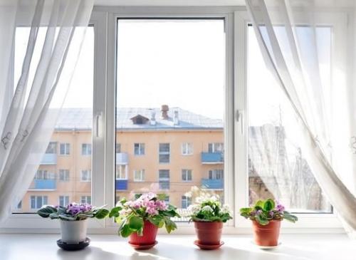 Потеют окна в квартире народные средства. Как избавиться от запотевания пластиковых окон