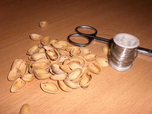 Дерево из фисташек.