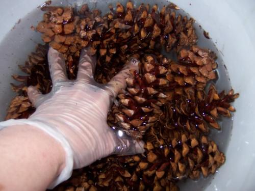 Поделки из природных материалов своими руками быстро и красиво. Подготовка природных материалов для поделок