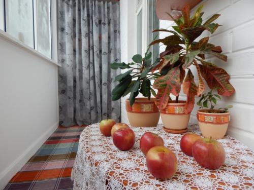 Как обустроить балкон для хранения. Организация хранения на лоджии