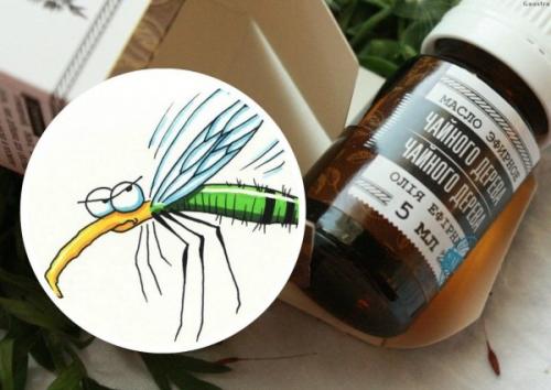 Плесень на мебели, как избавиться. Как вывести плесень с мебели