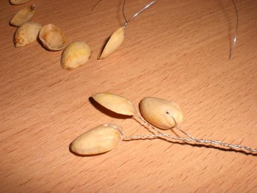 Дерево из фисташек.