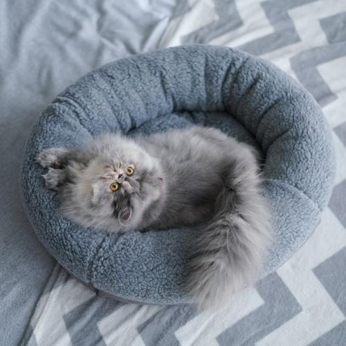 Зачем в хрущевках делали ящик под окном. Ниша под кухонным окном в хрущёвке. Зачем нужна и как использовать?