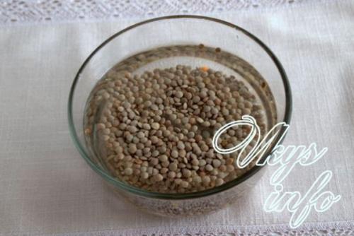 Как приготовить чечевицу коричневую вкусно. Как варить коричневую чечевицу 02