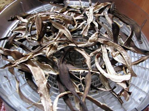 Что сделать с банановыми шкурками. Польза банановой кожуры для растений 04