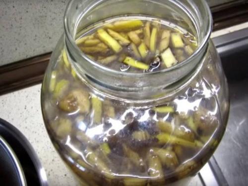 Что сделать с банановыми шкурками. Польза банановой кожуры для растений 06