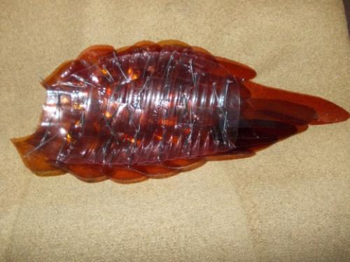 Пошаговая инструкция, как сделать павлина из пластиковых бутылок. Видео-уроки 03