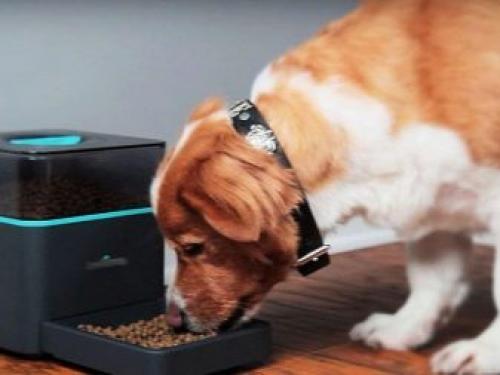 Система умный дом для квартиры. Преимущества системы 02 Система умный дом для квартиры. Преимущества системы 02