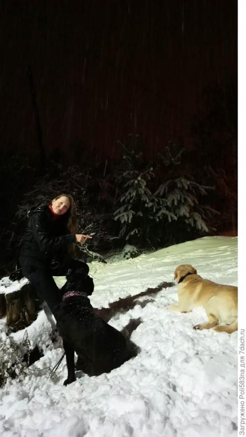 Планировка узкого длинного участка 20 соток. Помогите с планировкой узкого и длинного участка на склоне