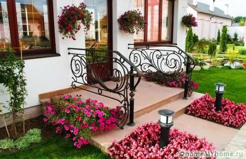 Клумба во дворе своими руками. Разновидности клумб