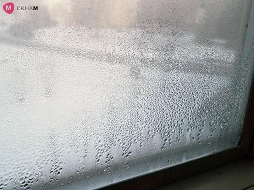 От чего окна потеют. Почему потеют окна, и что делать, чтобы они не потели