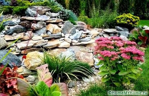 Клумба во дворе своими руками. Разновидности клумб