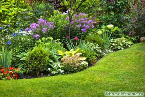 Клумба во дворе своими руками. Разновидности клумб