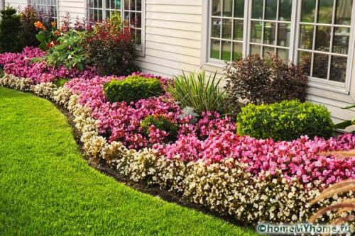 Клумба во дворе своими руками. Разновидности клумб