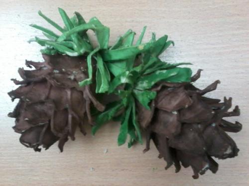 Поделки из коробок из-под яиц своими руками. 29 октября. Выставка поделок из яичных лотков на МААМ