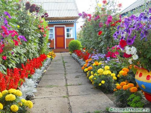 Клумба во дворе своими руками. Разновидности клумб