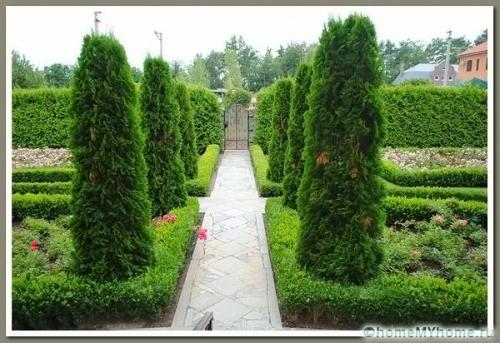 Клумба во дворе своими руками. Разновидности клумб