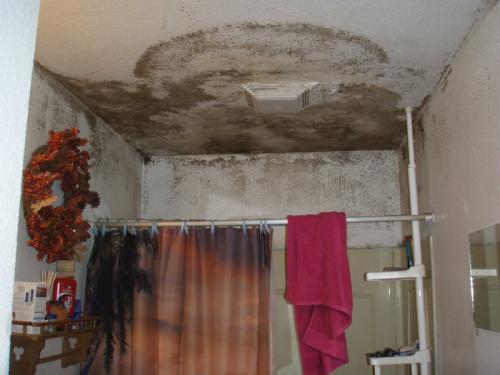 Чем обработать мебель от плесени. Причины и признаки появления плесени 02