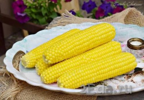 Надо ли солить кукурузу при варке. Как правильно сварить кукурузу: полезные советы 09 Надо ли солить кукурузу при варке. Как правильно сварить кукурузу: полезные советы 09