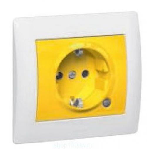 Серебристые розетки в интерьере. Розетки, как предмет декора: модные и стильные варианты