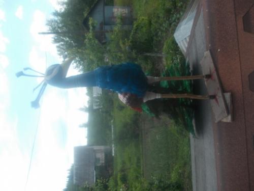 Как из пластиковых бутылок сделать павлина. Видео-уроки 05 Как из пластиковых бутылок сделать павлина. Видео-уроки 05