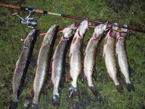 Как сделать блесну вертушку своими руками в домашних условиях. Самая уловистая вертушка на щуку, сделанная своим руками за 10 минут