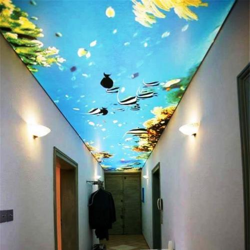 Потолок в маленьком коридоре. Типы натяжных потолков