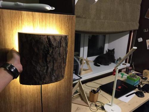 Светильник из доски своими руками. Светильники из дерева своими руками