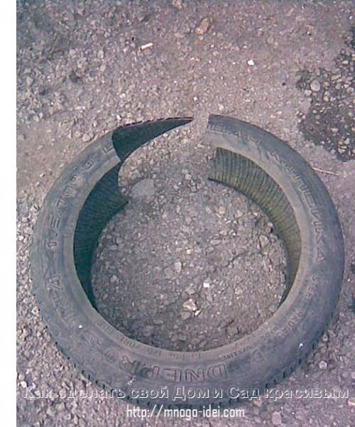 Лебедь из канистры. Грация в саду