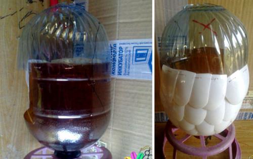 Как сделать попугая из бутылок пластиковых. Попугай из пластиковых ложек и бутылок