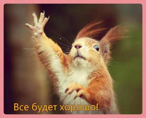 Как содержать дом в постоянной чистоте. 15 правил поддержания чистоты в доме.