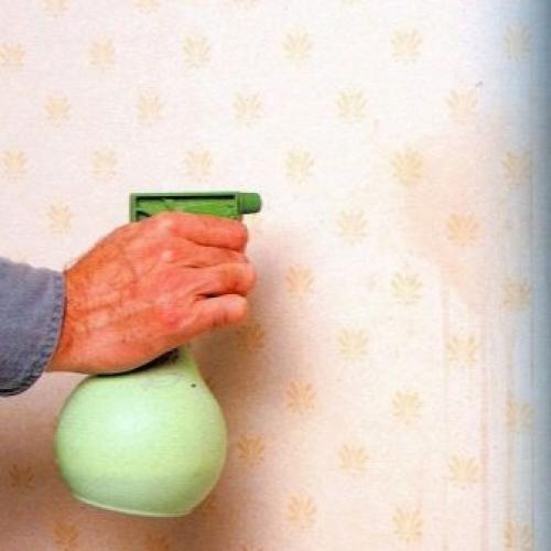 Почему на обоях на. Советы по выбору обоев для внутренней 11 Почему на обоях на. Советы по выбору обоев для внутренней 11