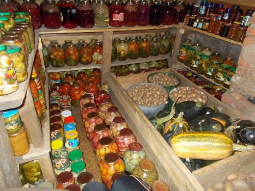 Вход В погреб своими руками. Пошаговое строительство погреба своими руками