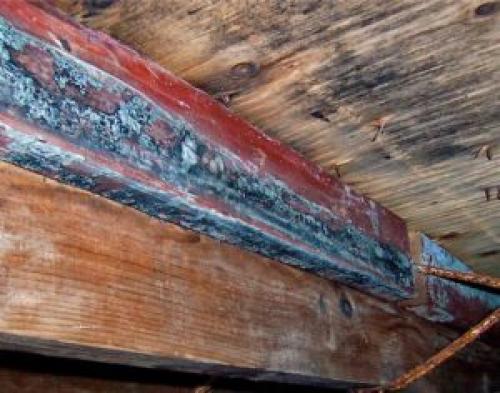 Чем обработать стены в подвале. Уход за погребом: дезинфекция, обработка, борьба с плесенью и грибком