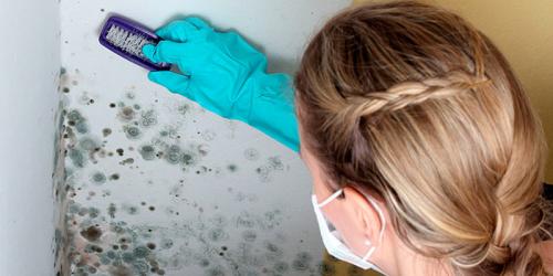 Газобетон плесень. Плесень в доме из газобетона: как бороться?