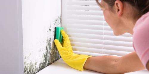 Газобетон плесень. Плесень в доме из газобетона: как бороться?