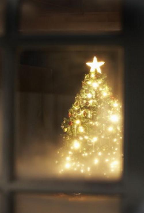 Теплый белый холодный белый. В чем отличия теплого освещения? 11