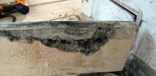 Чем обработать стены в подвале. Уход за погребом: дезинфекция, обработка, борьба с плесенью и грибком